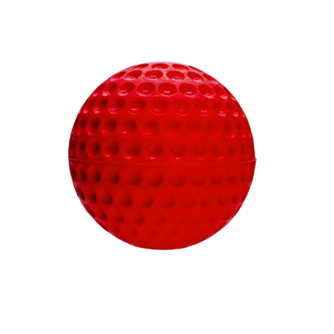 Pro Performance Cricket Training Ball