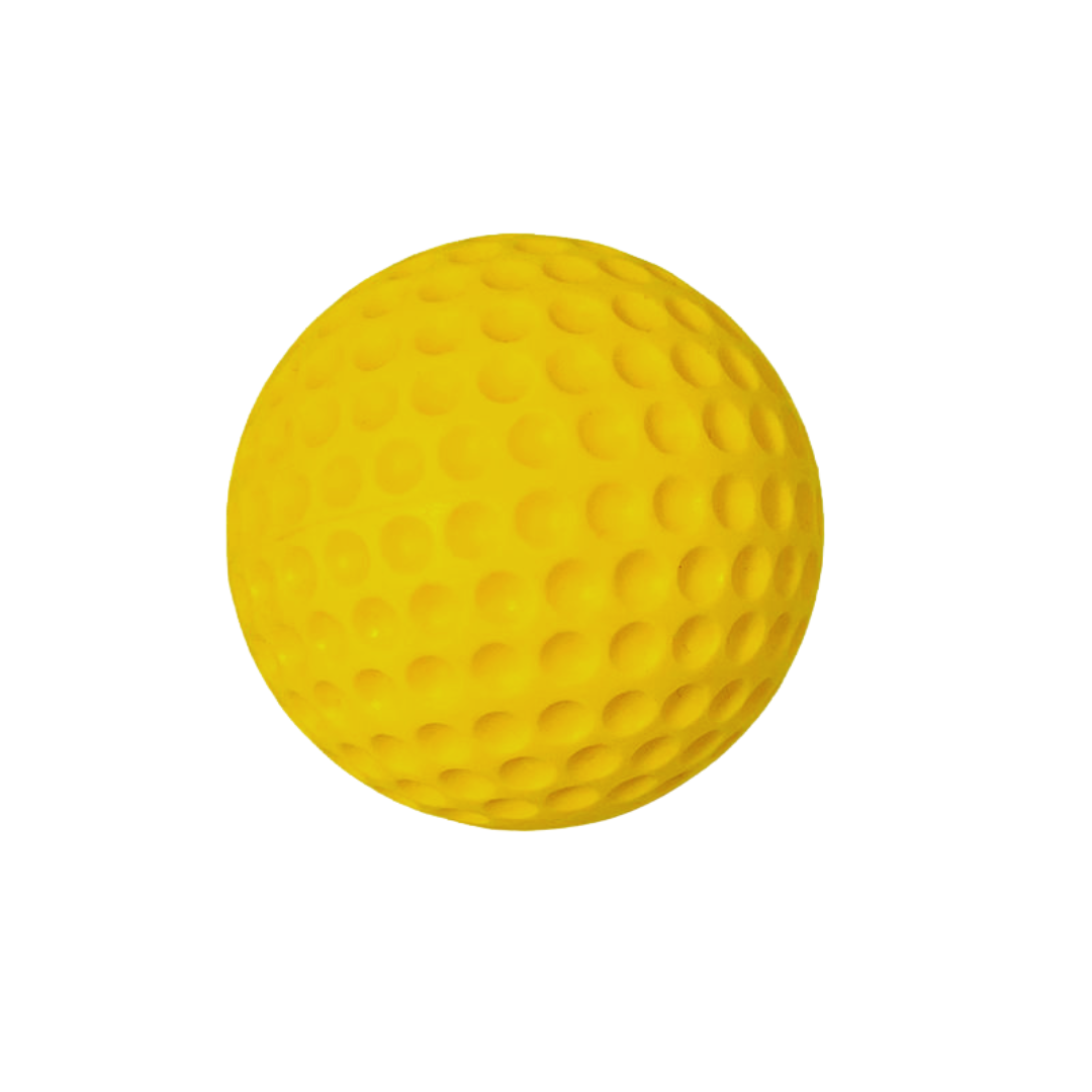 Pro Performance Cricket Training Ball