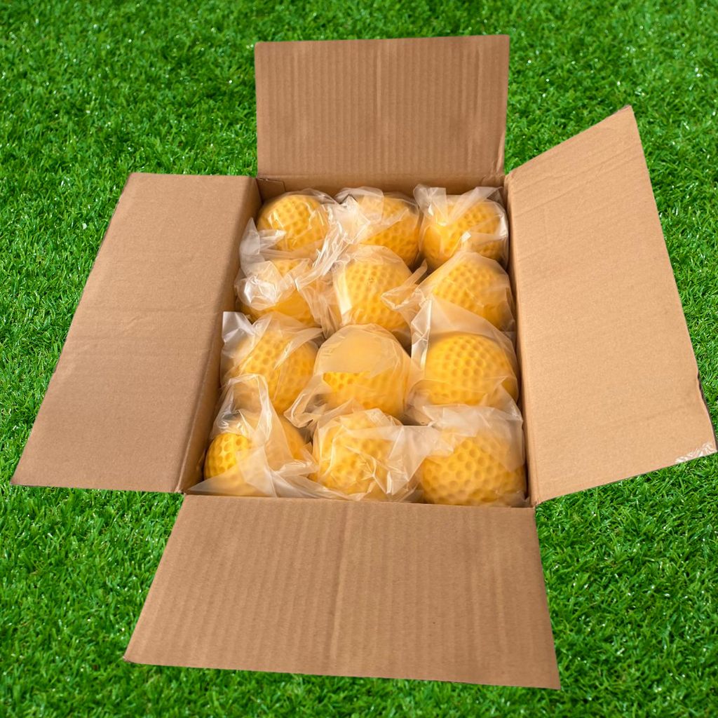 Pro Performance Cricket Training Ball Pack – 12 x Premium Training Balls
