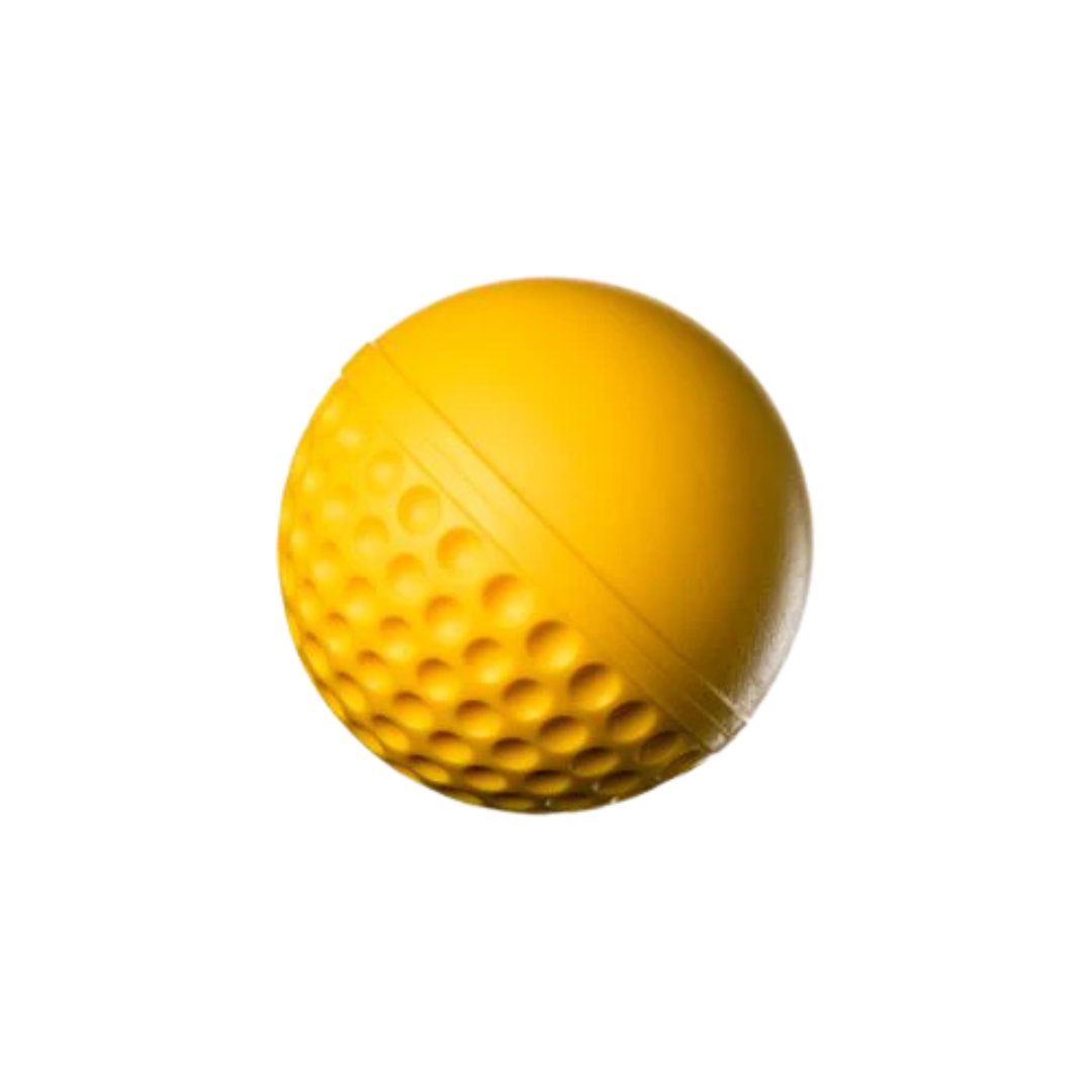 Swinga Training Ball Pro Performance Cricket 